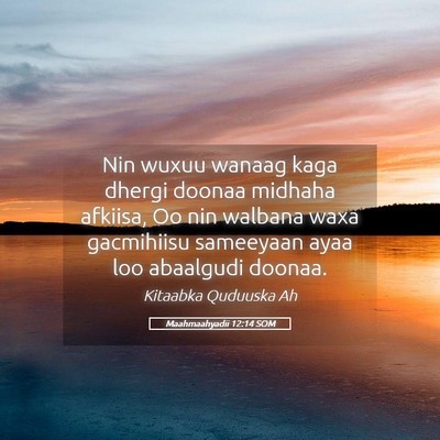 Picture 05 - Maahmaahyadii 12:14 SOM - Nin wuxuu wanaag kaga dhergi doonaa midhaha - Bible Verse Picture