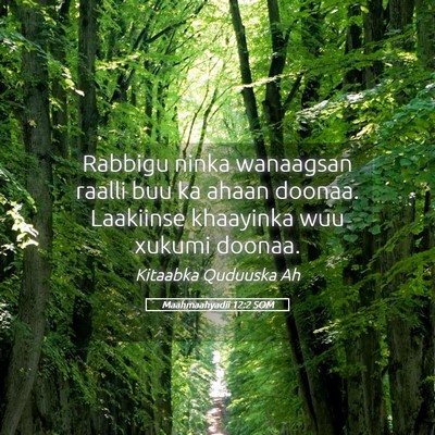 Picture 05 - Maahmaahyadii 12:2 SOM - Rabbigu ninka wanaagsan raalli buu ka ahaan - Bible Verse Picture