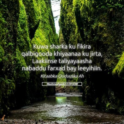 Picture 05 - Maahmaahyadii 12:20 SOM - Kuwa sharka ku fikira qalbigooda khiyaanaa ku - Bible Verse Picture