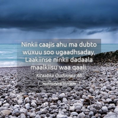 Picture 05 - Maahmaahyadii 12:27 SOM - Ninkii caajis ahu ma dubto wuxuu soo ugaadhsaday, - Bible Verse Picture