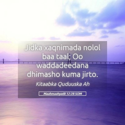 Picture 05 - Maahmaahyadii 12:28 SOM - Jidka xaqnimada nolol baa taal; Oo waddadeedana - Bible Verse Picture
