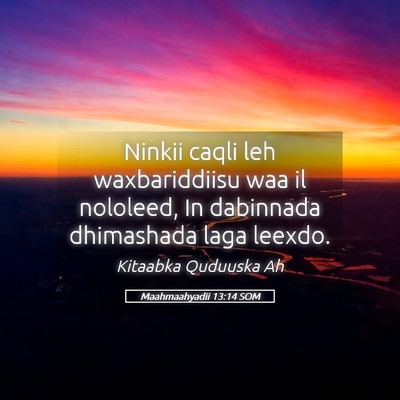 Picture 05 - Maahmaahyadii 13:14 SOM - Ninkii caqli leh waxbariddiisu waa il nololeed, - Bible Verse Picture