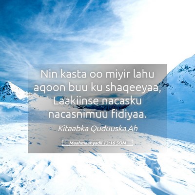 Picture 05 - Maahmaahyadii 13:16 SOM - Nin kasta oo miyir lahu aqoon buu ku shaqeeyaa, - Bible Verse Picture