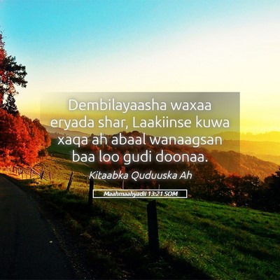 Picture 05 - Maahmaahyadii 13:21 SOM - Dembilayaasha waxaa eryada shar, Laakiinse kuwa - Bible Verse Picture