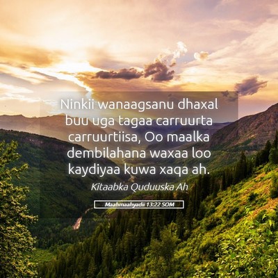 Picture 05 - Maahmaahyadii 13:22 SOM - Ninkii wanaagsanu dhaxal buu uga tagaa carruurta - Bible Verse Picture
