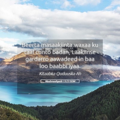 Picture 05 - Maahmaahyadii 13:23 SOM - Beerta masaakiinta waxaa ku taal cunto badan, - Bible Verse Picture
