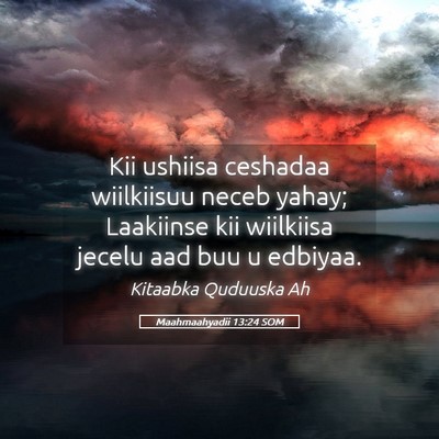 Picture 05 - Maahmaahyadii 13:24 SOM - Kii ushiisa ceshadaa wiilkiisuu neceb yahay; - Bible Verse Picture