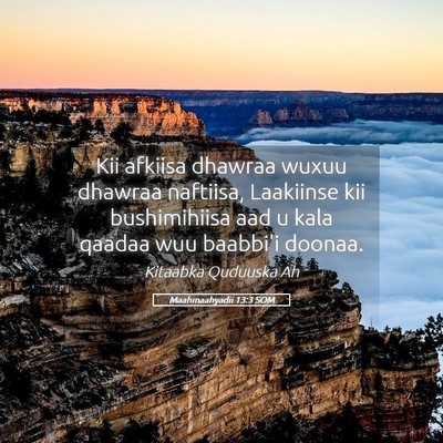Picture 05 - Maahmaahyadii 13:3 SOM - Kii afkiisa dhawraa wuxuu dhawraa naftiisa, - Bible Verse Picture
