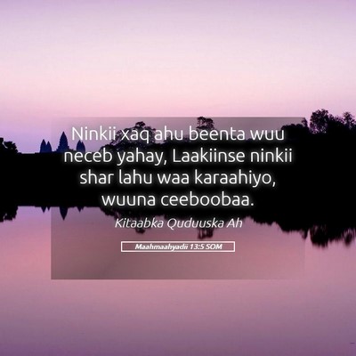 Picture 05 - Maahmaahyadii 13:5 SOM - Ninkii xaq ahu beenta wuu neceb yahay, Laakiinse - Bible Verse Picture