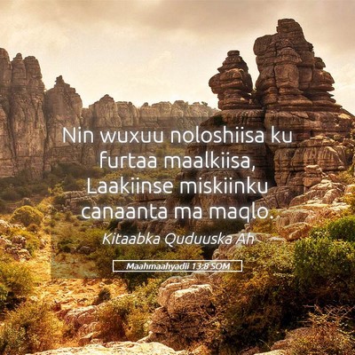 Picture 05 - Maahmaahyadii 13:8 SOM - Nin wuxuu noloshiisa ku furtaa maalkiisa, - Bible Verse Picture