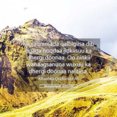 Picture 05 - Maahmaahyadii 14:14 SOM - Kii xaqnimada qalbigiisa dib ugaga noqdaa - Bible Verse Picture