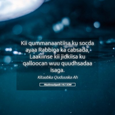Picture 05 - Maahmaahyadii 14:2 SOM - Kii qummanaantiisa ku socda ayaa Rabbiga ka - Bible Verse Picture