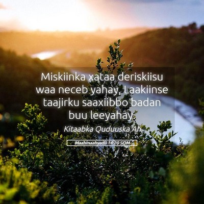 Picture 05 - Maahmaahyadii 14:20 SOM - Miskiinka xataa deriskiisu waa neceb yahay, - Bible Verse Picture