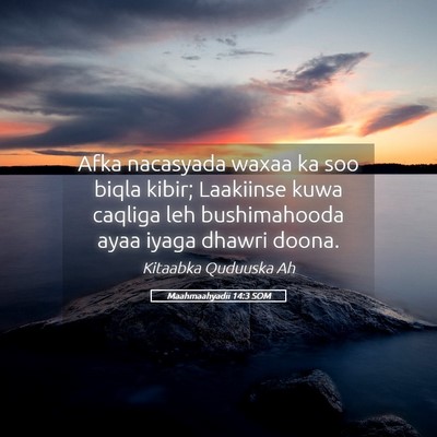 Picture 05 - Maahmaahyadii 14:3 SOM - Afka nacasyada waxaa ka soo biqla kibir; - Bible Verse Picture