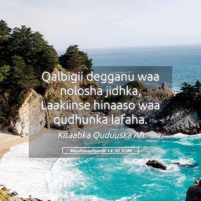 Picture 05 - Maahmaahyadii 14:30 SOM - Qalbigii degganu waa nolosha jidhka, Laakiinse - Bible Verse Picture