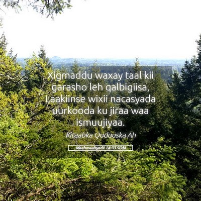 Picture 05 - Maahmaahyadii 14:33 SOM - Xigmaddu waxay taal kii garasho leh qalbigiisa, - Bible Verse Picture