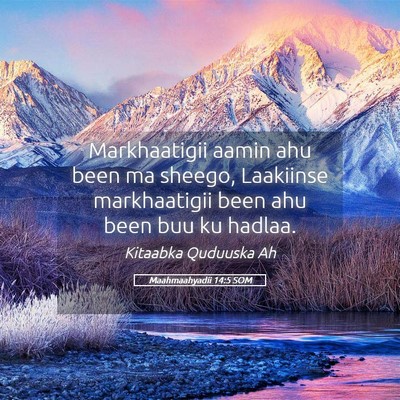 Picture 05 - Maahmaahyadii 14:5 SOM - Markhaatigii aamin ahu been ma sheego, Laakiinse - Bible Verse Picture