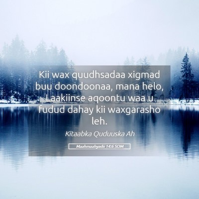Picture 05 - Maahmaahyadii 14:6 SOM - Kii wax quudhsadaa xigmad buu doondoonaa, mana - Bible Verse Picture