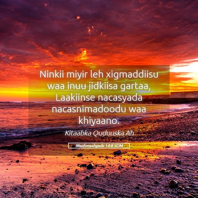 Picture 05 - Maahmaahyadii 14:8 SOM - Ninkii miyir leh xigmaddiisu waa inuu jidkiisa - Bible Verse Picture