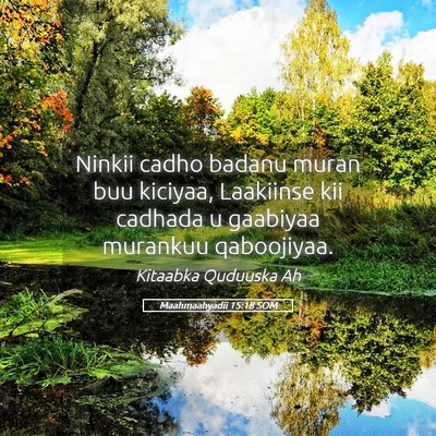 Picture 05 - Maahmaahyadii 15:18 SOM - Ninkii cadho badanu muran buu kiciyaa, Laakiinse - Bible Verse Picture