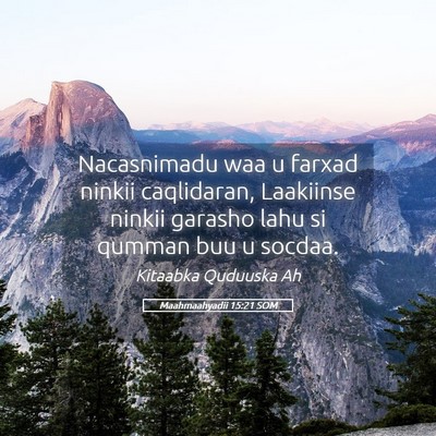 Picture 05 - Maahmaahyadii 15:21 SOM - Nacasnimadu waa u farxad ninkii caqlidaran, - Bible Verse Picture