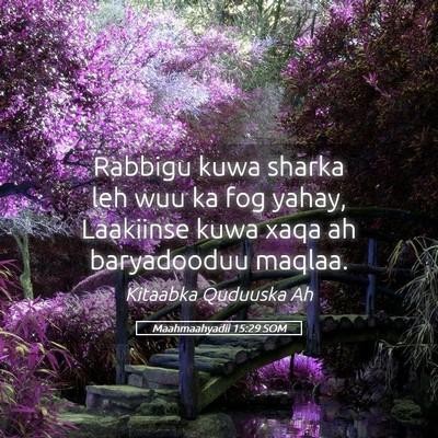 Picture 05 - Maahmaahyadii 15:29 SOM - Rabbigu kuwa sharka leh wuu ka fog yahay, - Bible Verse Picture