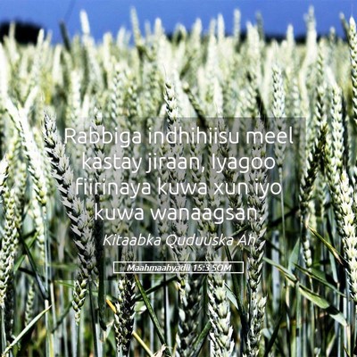 Picture 05 - Maahmaahyadii 15:3 SOM - Rabbiga indhihiisu meel kastay jiraan, Iyagoo - Bible Verse Picture
