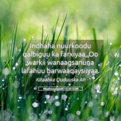 Picture 05 - Maahmaahyadii 15:30 SOM - Indhaha nuurkoodu qalbiguu ka farxiyaa, Oo warkii - Bible Verse Picture