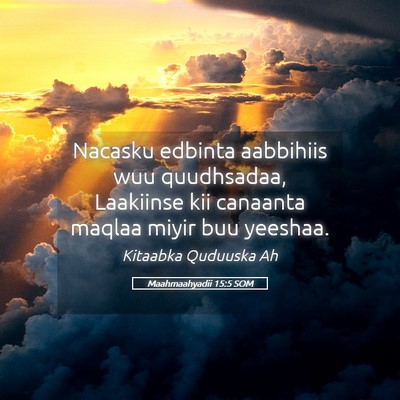 Picture 05 - Maahmaahyadii 15:5 SOM - Nacasku edbinta aabbihiis wuu quudhsadaa, - Bible Verse Picture
