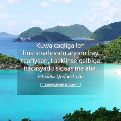 Picture 05 - Maahmaahyadii 15:7 SOM - Kuwa caqliga leh bushimahoodu aqoon bay - Bible Verse Picture