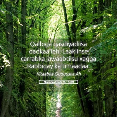Picture 05 - Maahmaahyadii 16:1 SOM - Qalbiga qasdiyadiisa dadkaa leh, Laakiinse - Bible Verse Picture