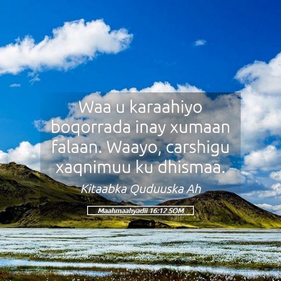 Picture 05 - Maahmaahyadii 16:12 SOM - Waa u karaahiyo boqorrada inay xumaan falaan. - Bible Verse Picture
