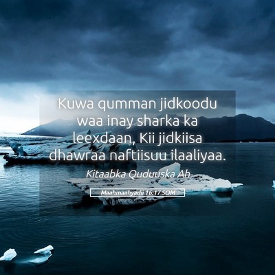 Picture 05 - Maahmaahyadii 16:17 SOM - Kuwa qumman jidkoodu waa inay sharka ka leexdaan, - Bible Verse Picture
