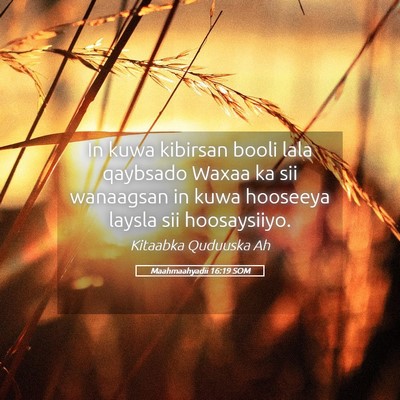 Picture 05 - Maahmaahyadii 16:19 SOM - In kuwa kibirsan booli lala qaybsado Waxaa ka sii - Bible Verse Picture