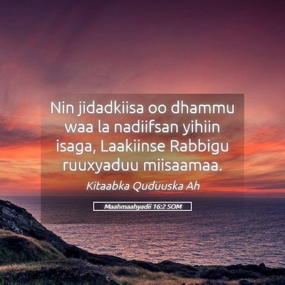 Picture 05 - Maahmaahyadii 16:2 SOM - Nin jidadkiisa oo dhammu waa la nadiifsan yihiin - Bible Verse Picture