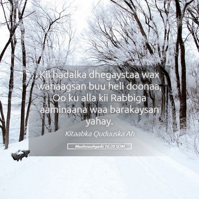 Picture 05 - Maahmaahyadii 16:20 SOM - Kii hadalka dhegaystaa wax wanaagsan buu heli - Bible Verse Picture