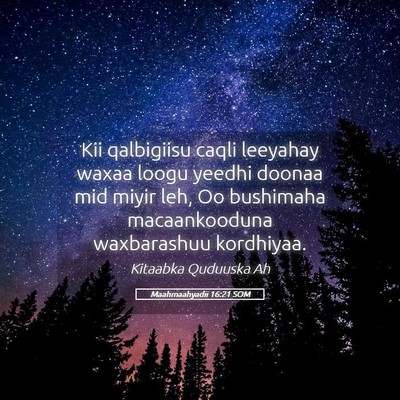 Picture 05 - Maahmaahyadii 16:21 SOM - Kii qalbigiisu caqli leeyahay waxaa loogu yeedhi - Bible Verse Picture