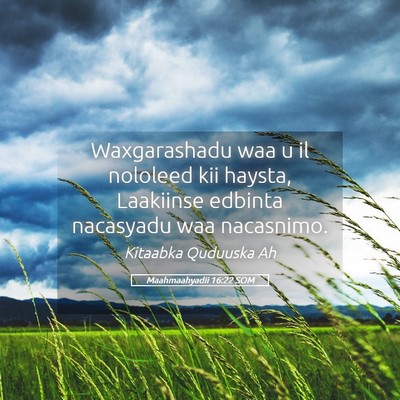 Picture 05 - Maahmaahyadii 16:22 SOM - Waxgarashadu waa u il nololeed kii haysta, - Bible Verse Picture