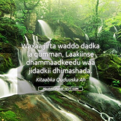 Picture 05 - Maahmaahyadii 16:25 SOM - Waxaa jirta waddo dadka la qumman, Laakiinse - Bible Verse Picture