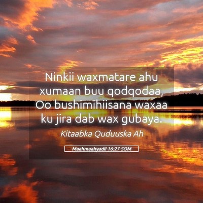 Picture 05 - Maahmaahyadii 16:27 SOM - Ninkii waxmatare ahu xumaan buu qodqodaa, Oo - Bible Verse Picture