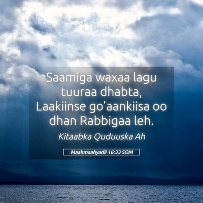Picture 05 - Maahmaahyadii 16:33 SOM - Saamiga waxaa lagu tuuraa dhabta, Laakiinse - Bible Verse Picture