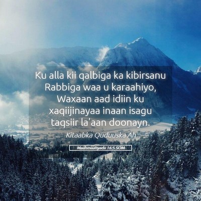 Picture 05 - Maahmaahyadii 16:5 SOM - Ku alla kii qalbiga ka kibirsanu Rabbiga waa u - Bible Verse Picture