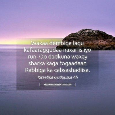 Picture 05 - Maahmaahyadii 16:6 SOM - Waxaa dembiga lagu kafaaraggudaa naxariis iyo - Bible Verse Picture