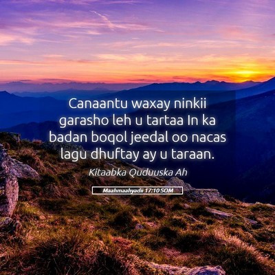 Picture 05 - Maahmaahyadii 17:10 SOM - Canaantu waxay ninkii garasho leh u tartaa In ka - Bible Verse Picture