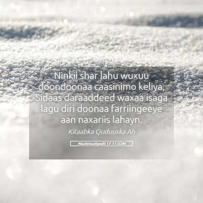 Picture 05 - Maahmaahyadii 17:11 SOM - Ninkii shar lahu wuxuu doondoonaa caasinimo - Bible Verse Picture