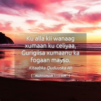 Picture 05 - Maahmaahyadii 17:13 SOM - Ku alla kii wanaag xumaan ku celiyaa, Gurigiisa - Bible Verse Picture