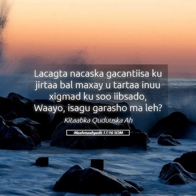 Picture 05 - Maahmaahyadii 17:16 SOM - Lacagta nacaska gacantiisa ku jirtaa bal maxay u - Bible Verse Picture