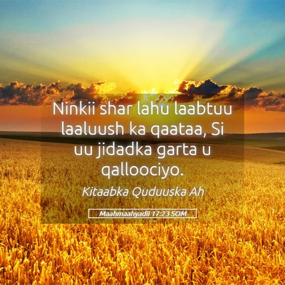 Picture 05 - Maahmaahyadii 17:23 SOM - Ninkii shar lahu laabtuu laaluush ka qaataa, Si - Bible Verse Picture