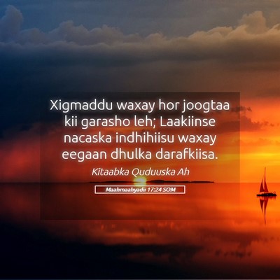 Picture 05 - Maahmaahyadii 17:24 SOM - Xigmaddu waxay hor joogtaa kii garasho leh; - Bible Verse Picture