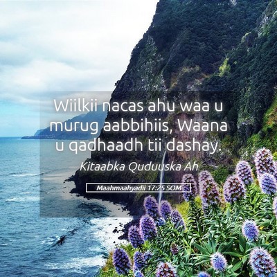 Picture 05 - Maahmaahyadii 17:25 SOM - Wiilkii nacas ahu waa u murug aabbihiis, Waana u - Bible Verse Picture